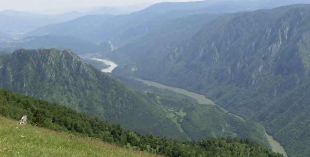 KIŠNA DOVA – Seid Zimić